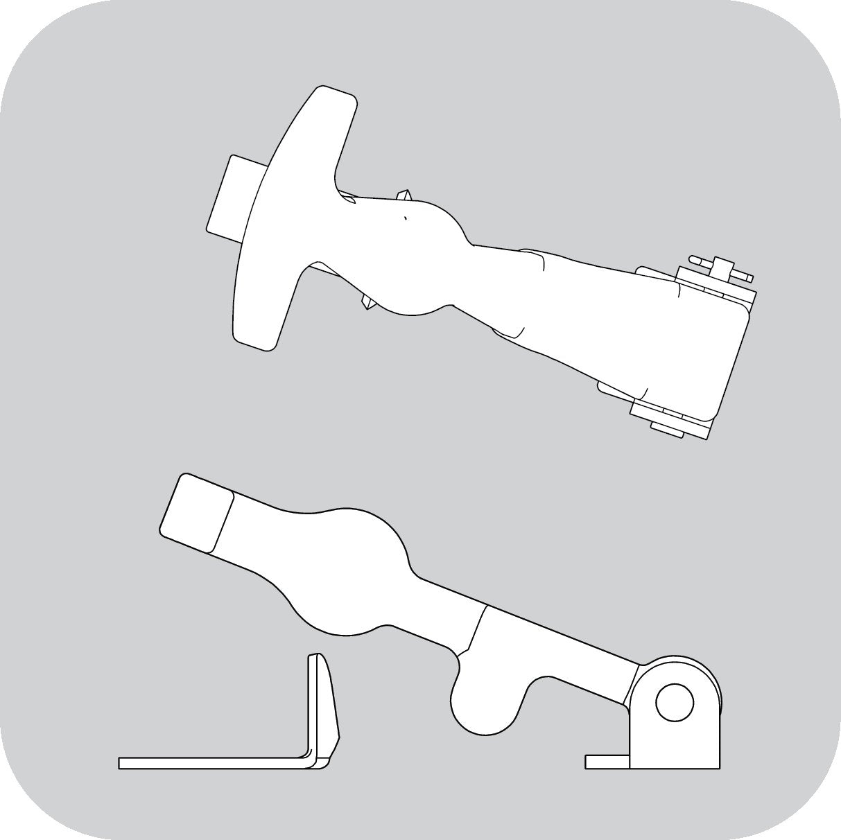 Collections – Actus